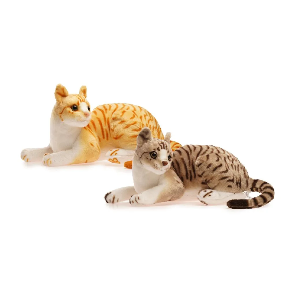 Gatos Peluche siameses echados real (4521)